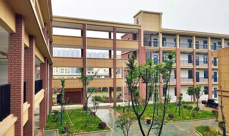 喜大普奔随州鹿鹤学校建成啦在哪儿长啥样快看