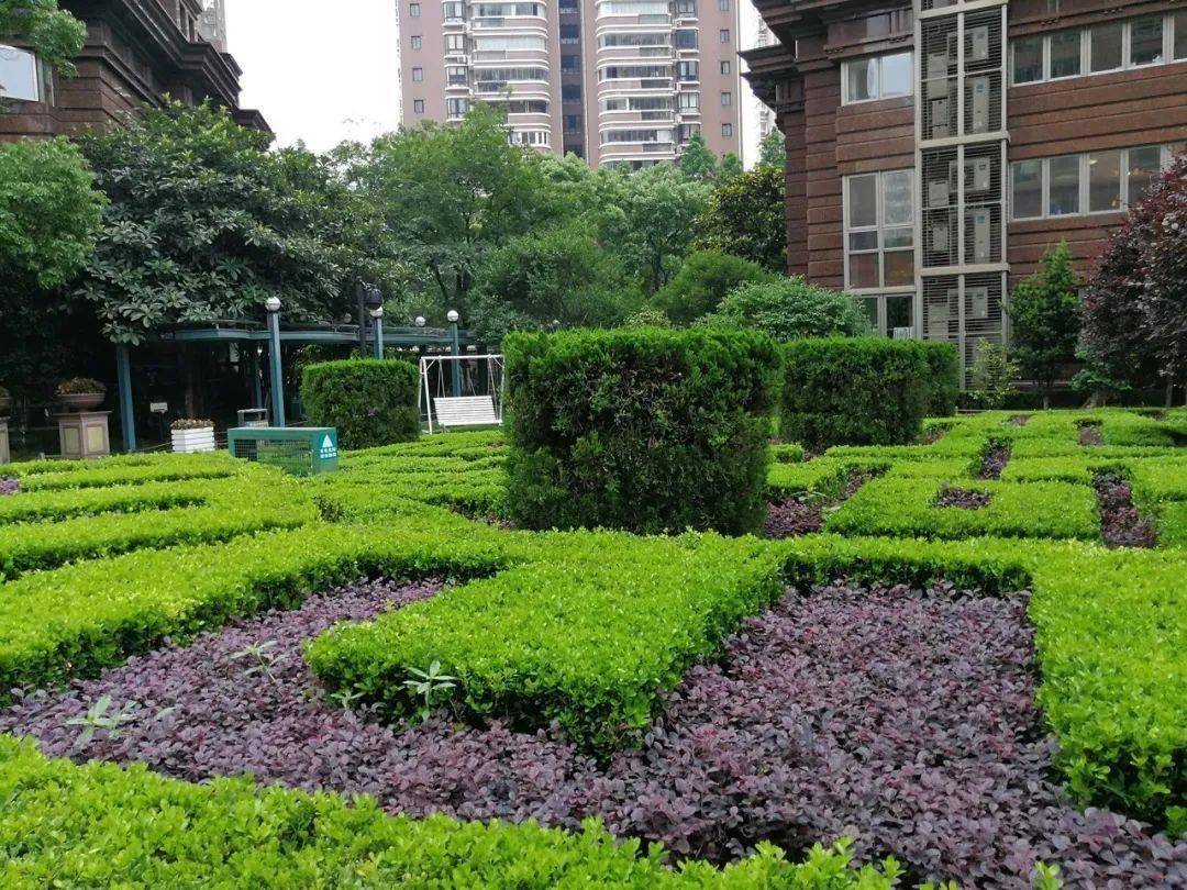 小区内绿化病虫害怎么治植物怎么修剪