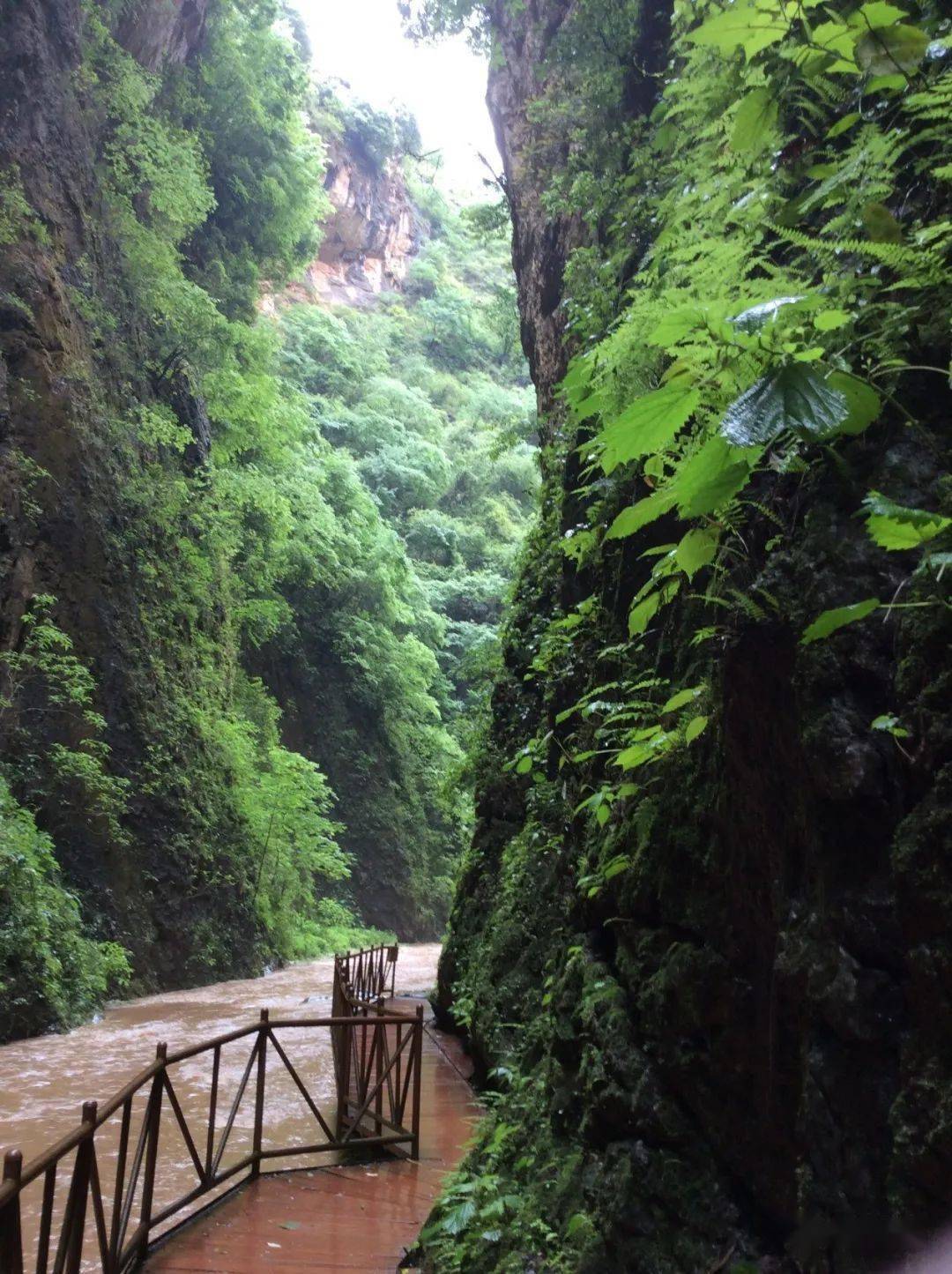 六月雨碌大地縫風光