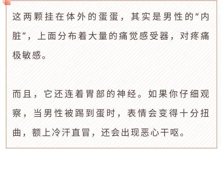 男性的蛋蛋,也就是睪丸,可以說是一個很精密的