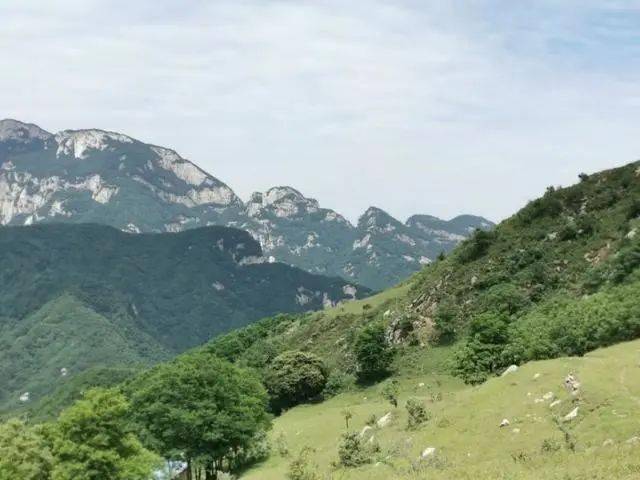 蓝田流峪寺高山草甸图片