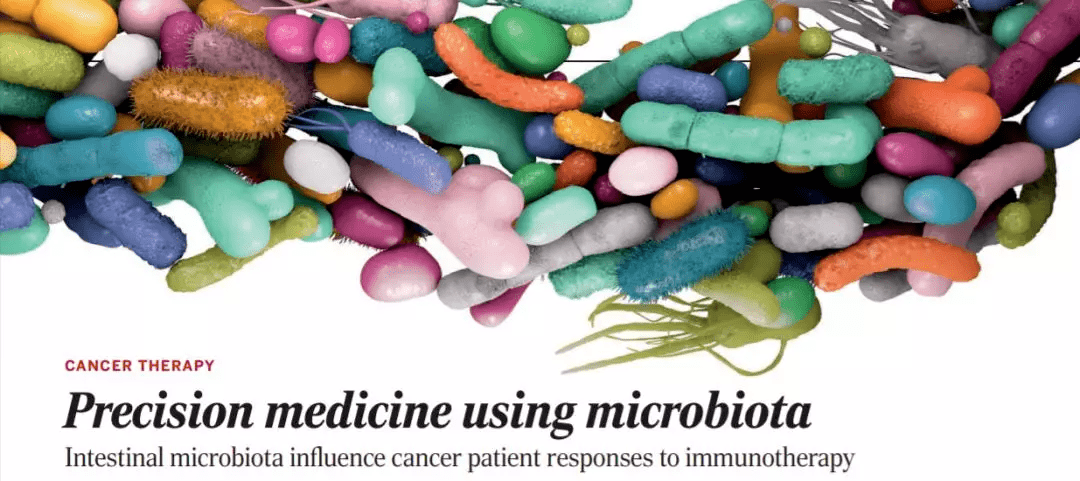 除了熬夜致命之外肠道还如何影响我们的健康