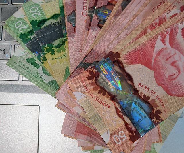 加拿大又发钱?冒领救助金可被判刑,批评者担忧政府赤字债务压顶