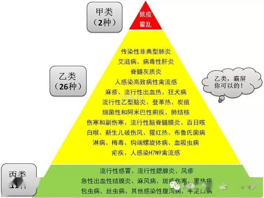 犬布病的症状_犬得布病的症状及治疗方法_犬布病的传播途径