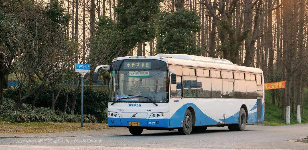 邹正欣:"追车人"的自我修养_女王