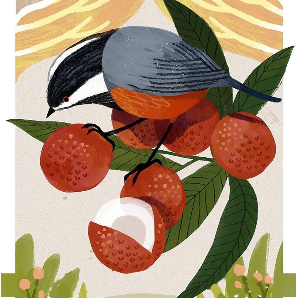 荞头插画&分享——第188期(台湾插画家cinyee chiu)