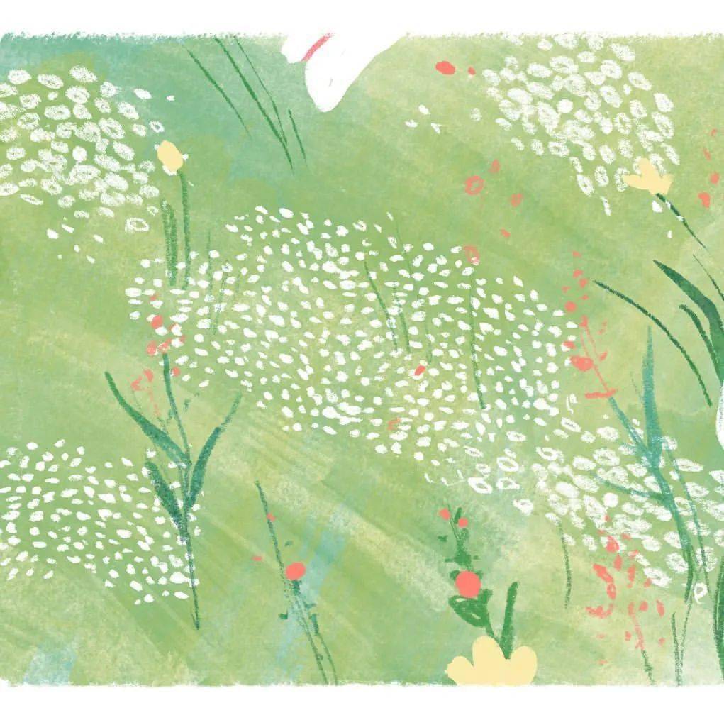 分享——第188期(台湾插画家69696969696969cinyee