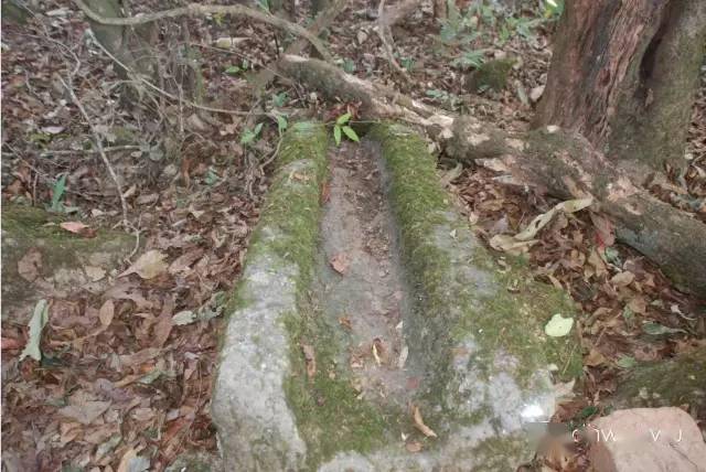 盈江铜壁关实在是藏不住了,今天必须"曝光",因为.