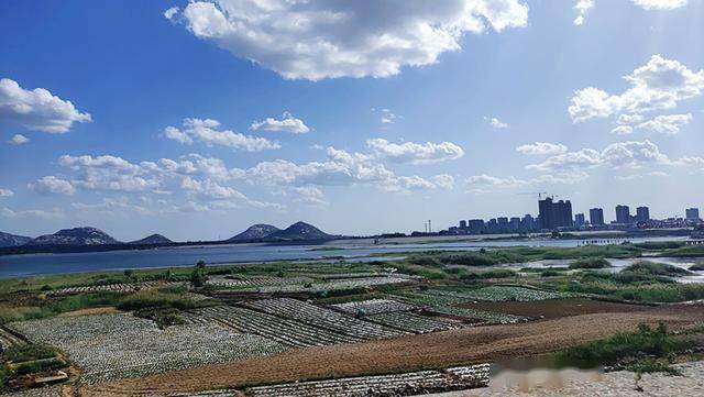 濟寧鄒城市鋼山街道:營造天藍氣淨水清城市環境