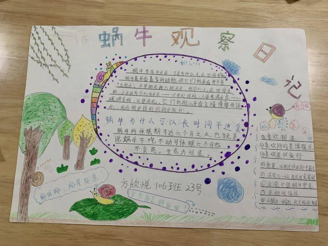 一年级蜗牛小报快来看看哪些同学获奖了~本学期的科技节,我校小学