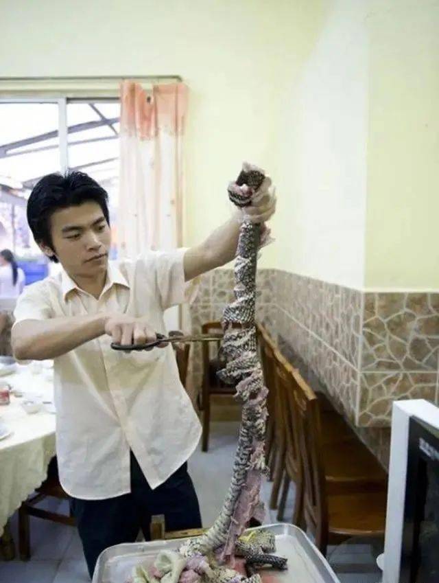 在广东吃蛇肉火锅把榕蛇取片生滚像毛肚一样涮着吃