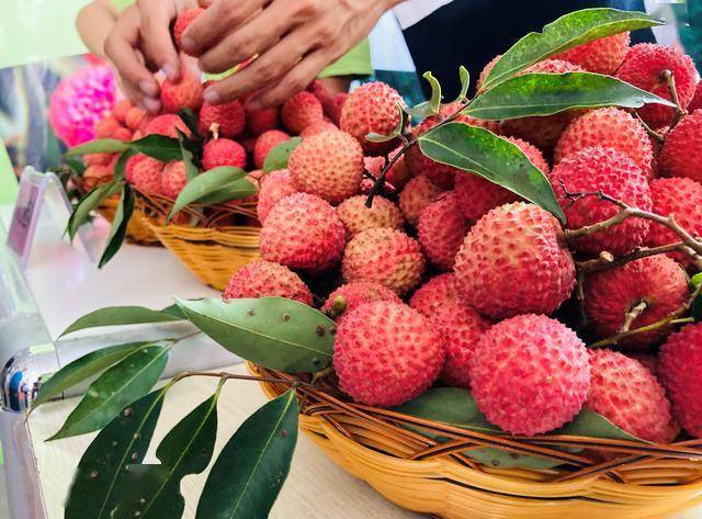 第十八届中国广西荔枝龙眼产销对接活动在灵山县举办