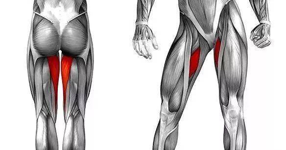 大腿内侧肌肉群三种拉伸方式