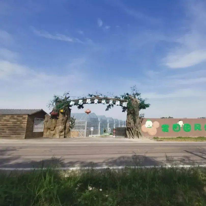 感受田园的诱惑铜山区黄集镇桃你喜欢