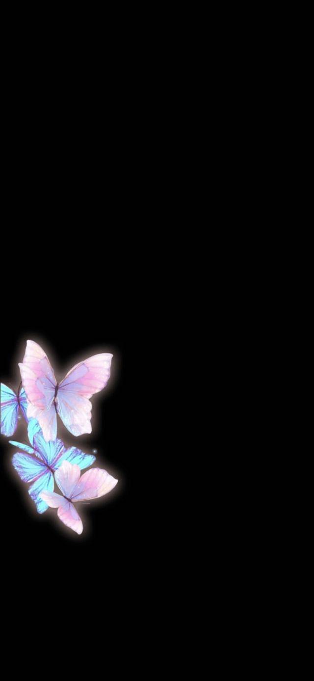 黑色蝴蝶壁纸丨今年哪儿哪儿都能看到的蝴蝶元素