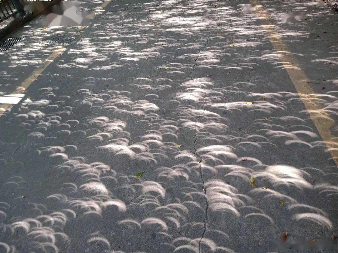 拍到了小孔成像的日环食影子