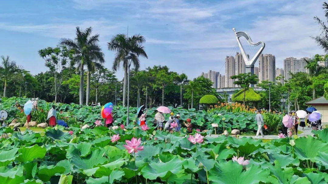 厦门旅游地点_大丰旅游年卡办理地点_日照旅游一卡通办理地点