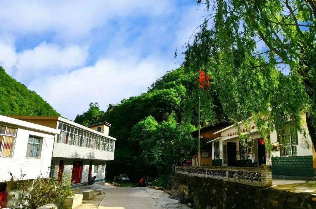 近年来,康县对全县乡镇村社统一规划,连续九年以县委一号文件规划美丽