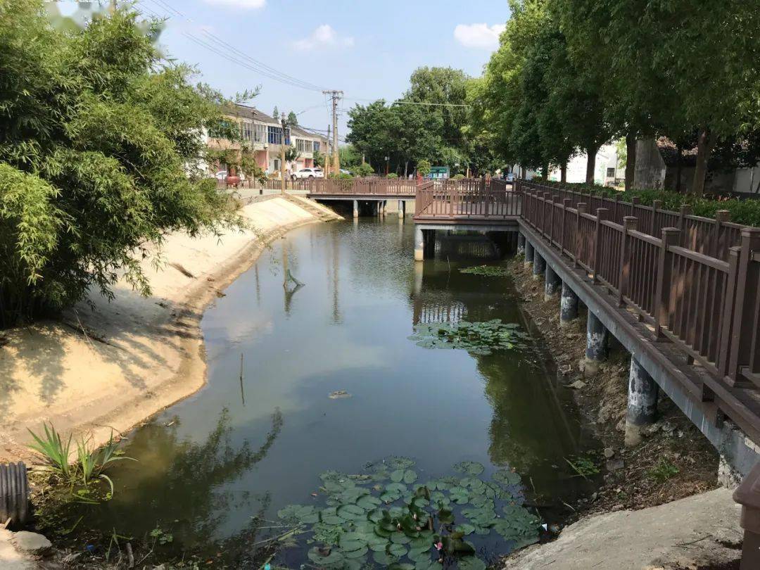 强富美高20村礼嘉镇何墅村打造景美人和的样板间