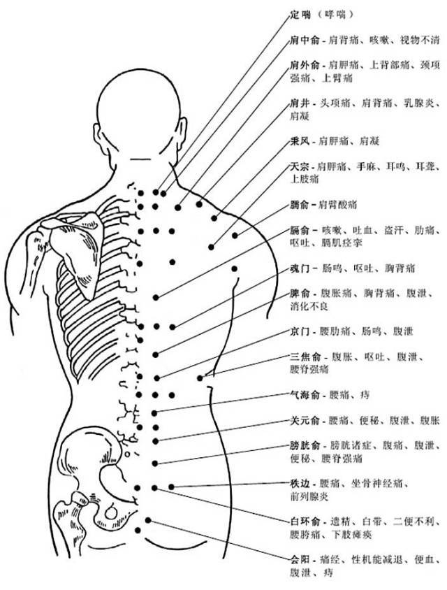 全身穴位治療口訣大全配圖精華版想學經絡穴位的必須收藏