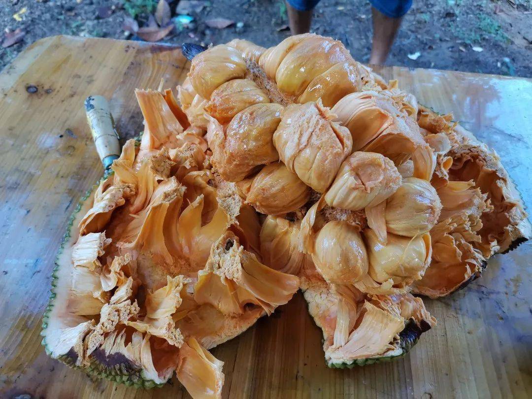 万宁榴莲蜜果好效益高