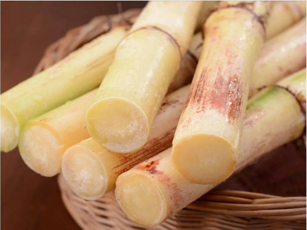 贵港白玉蔗又出名了!获国家级认证!