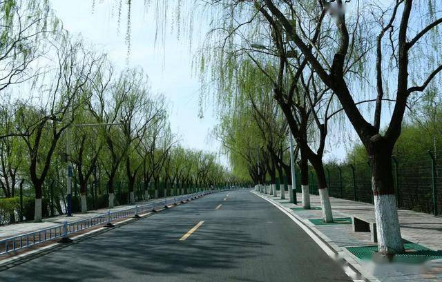 大美唐山之南湖公园一角_湖面