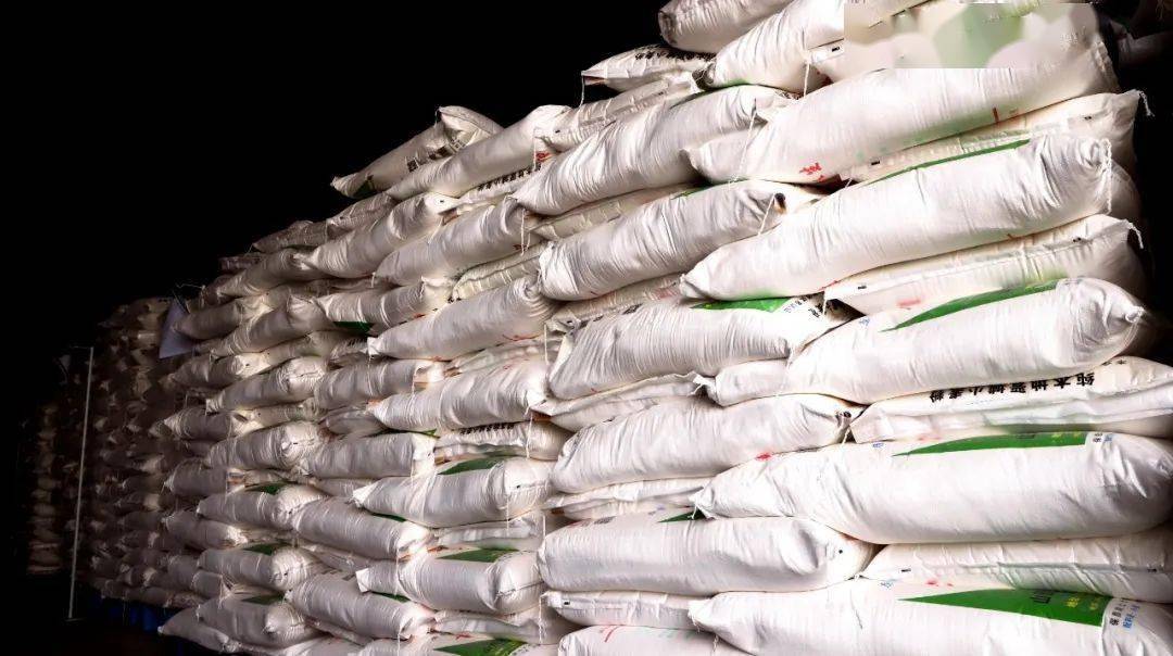 端午临近快来九康康一康