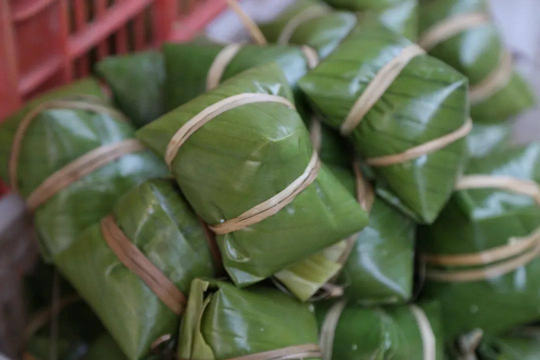 麻涌人包粽子首先会到香蕉地里采摘新鲜蕉叶,温水泡洗,裁好尺寸作为粽