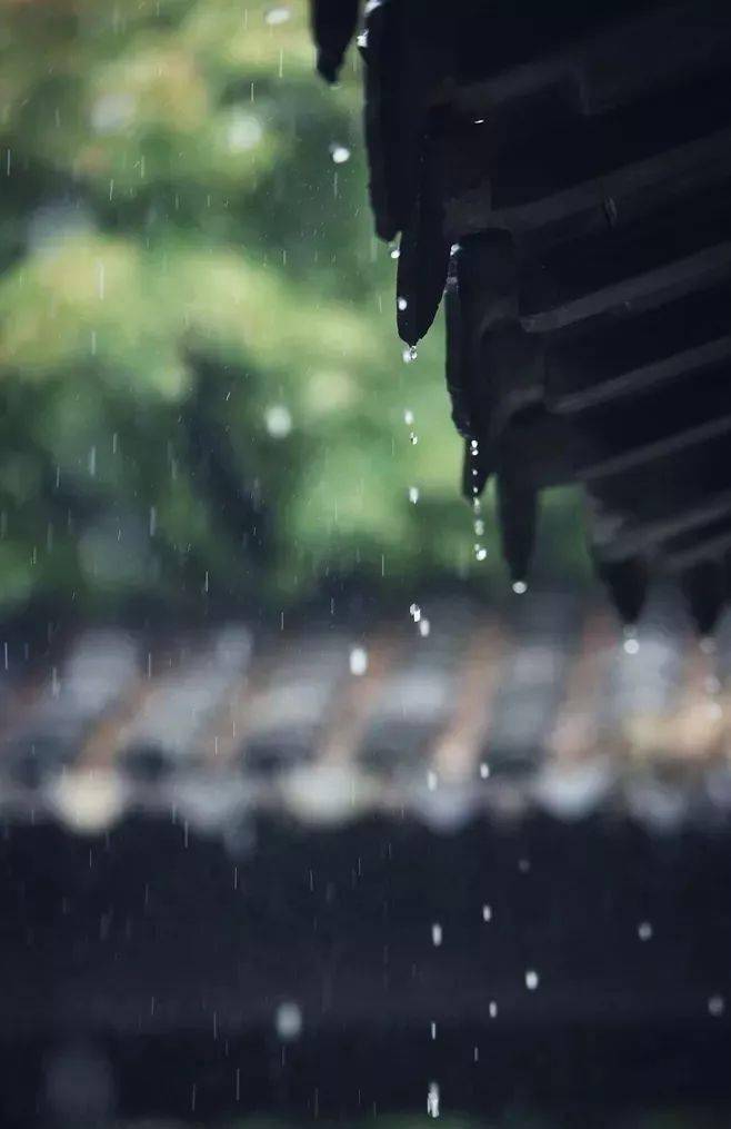 【诗情画意】听雨、品诗、赏风景,美到让人心碎!-搜狐大视野-搜狐新闻