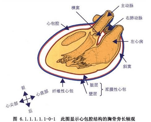 《南天实录》第五期 针灸之后