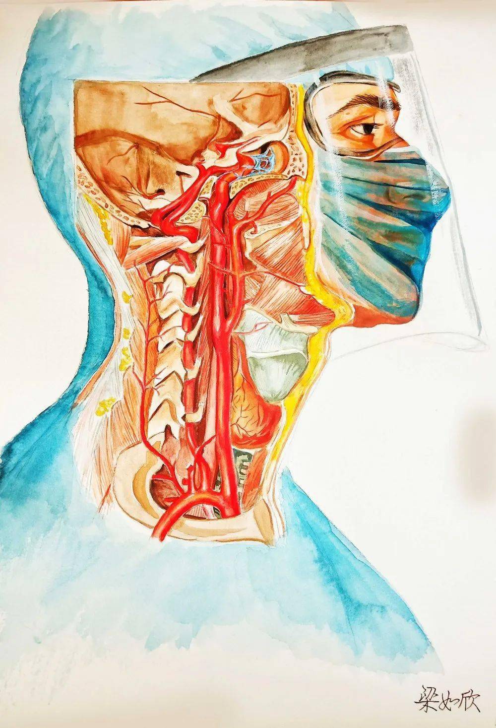 广西医科大学医学生的灵魂绘画,爱了爱了!_心脏