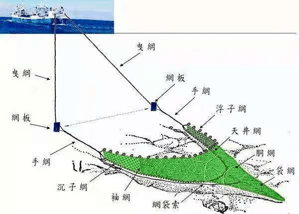 案例小课堂七夜幕下的碰撞悲剧