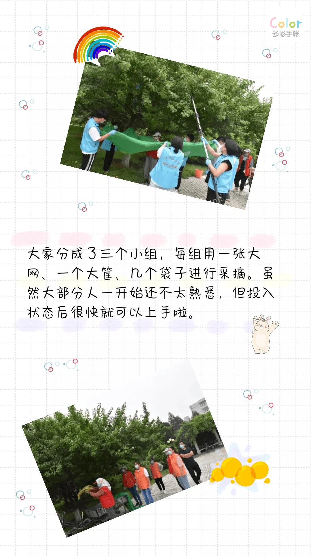 山理工的小杏运送给你