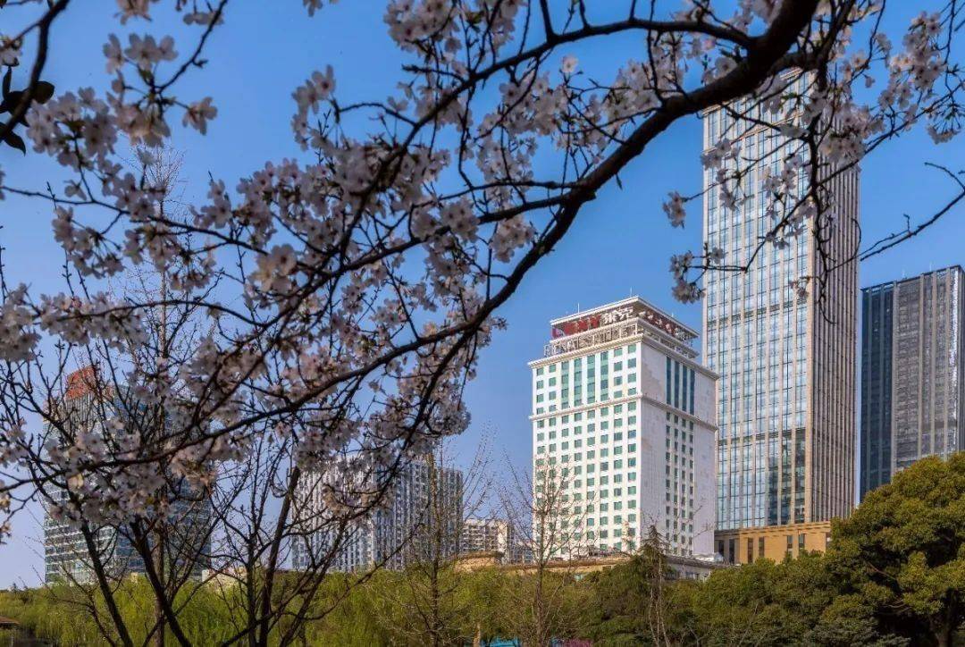 【苏州尼盛万丽酒店】苏州大道