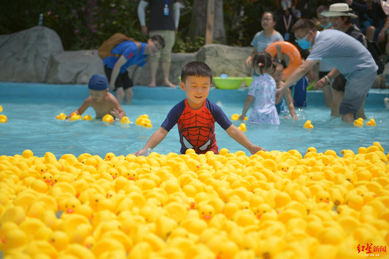 海洋公园这样过端午:海豹吃"冰粽",小朋友水中捉"小黄鸭"