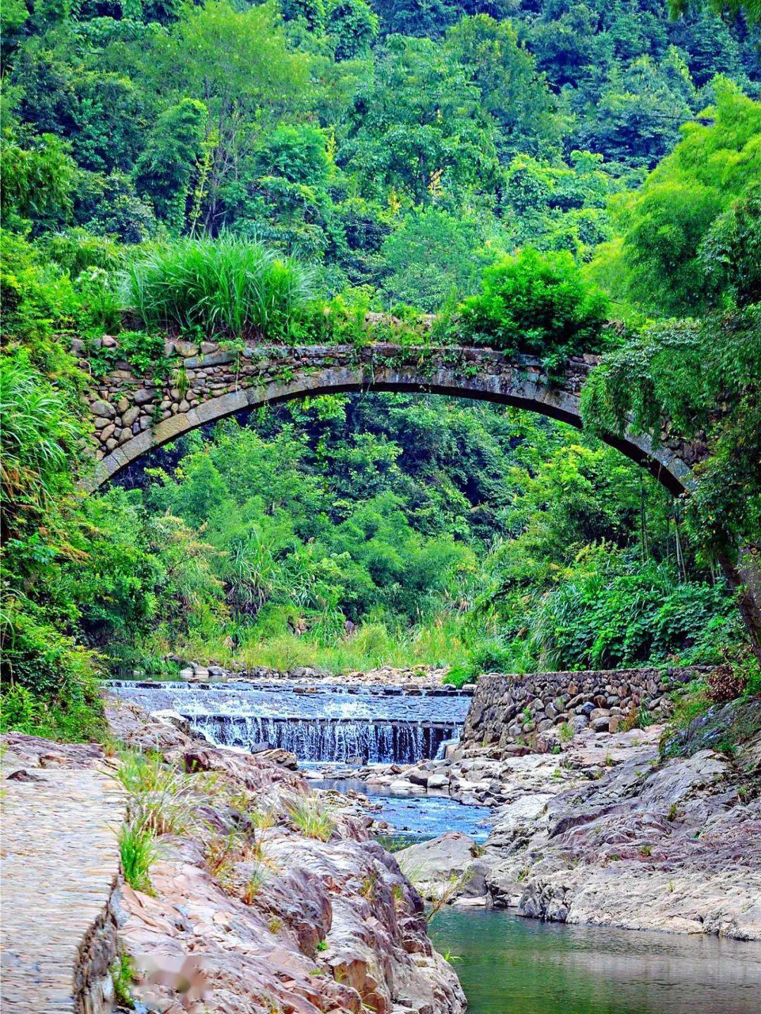 浸染在苍山墨岭间的茆坪村空气清澈甘甜