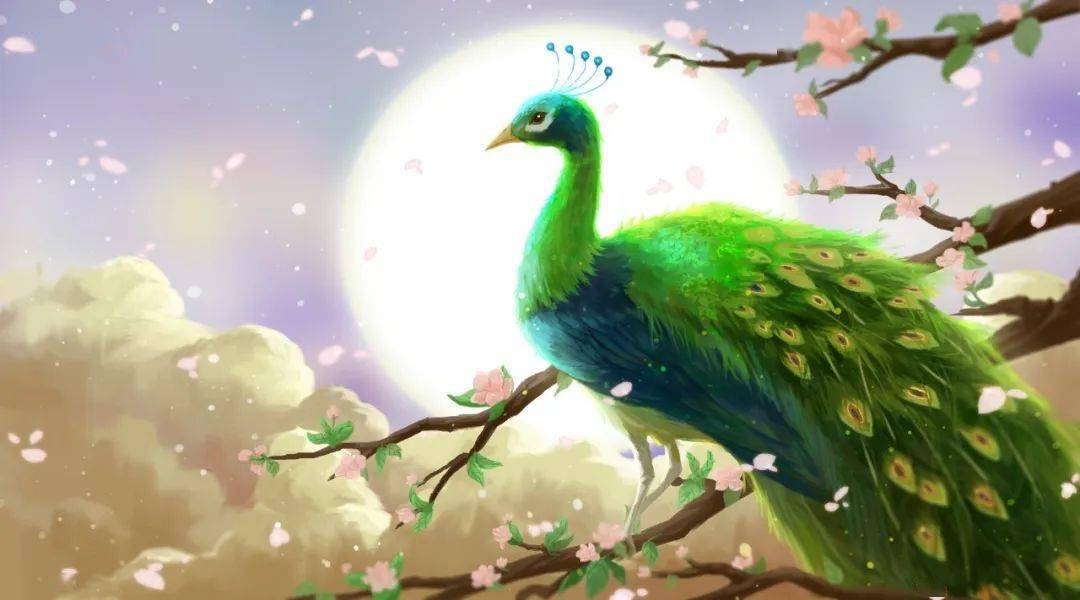 栗子姐姐讲故事定制故事骄傲的孔雀