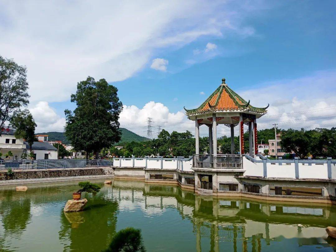 共和来苏实力出圈!_苏村