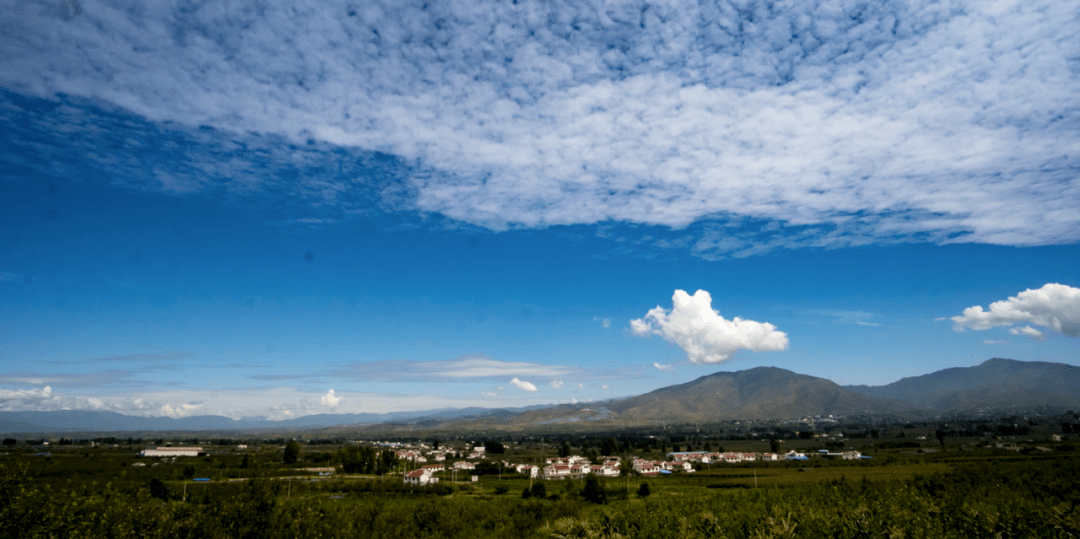 省州县三级协同盐源专场招聘会数百职位虚席以待就在您身边