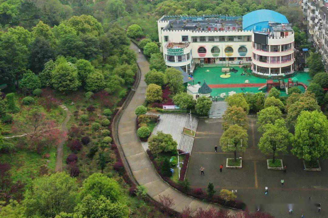 大自然中的"活教育"  |  恩雅幼儿园2020年秋季招生简介