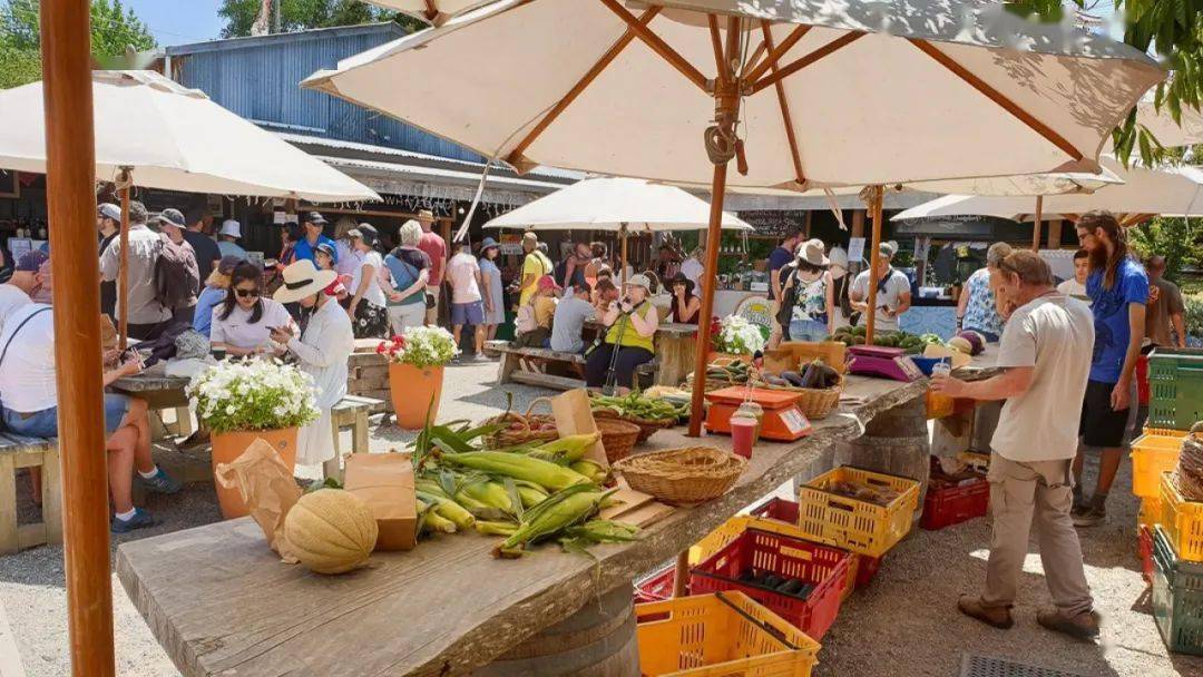 新西兰这个小镇要"贱卖"了,要价$1160万,还能移民.