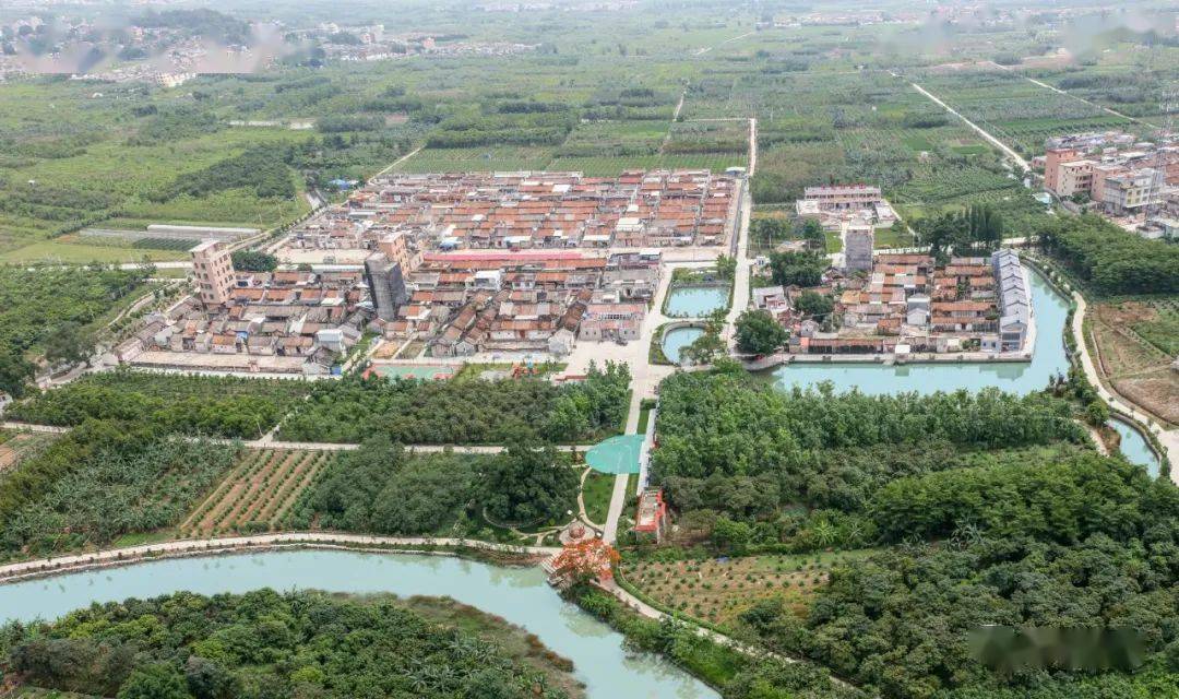 潮阳这个村,近期此事特别关注!