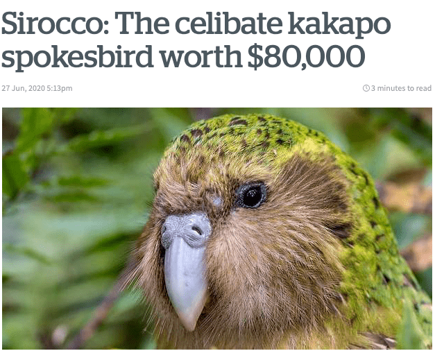 世界上最贵的鸟图片