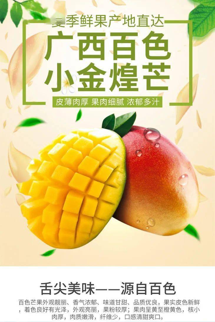 【百色金煌芒·包邮到家】39元10斤 外观靓丽,香气浓郁,核小肉厚,味道