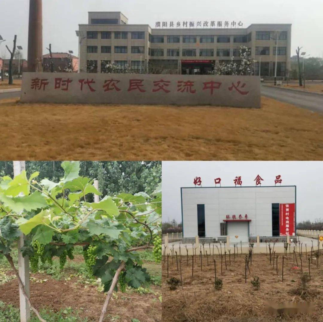 发展村级产业项目,壮大村级集体经济实施方案》(濮县办〔2018〕12号)