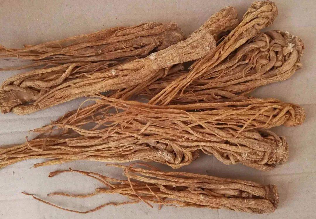 当归——血中圣药,补血,行血,补中有动,行中有补