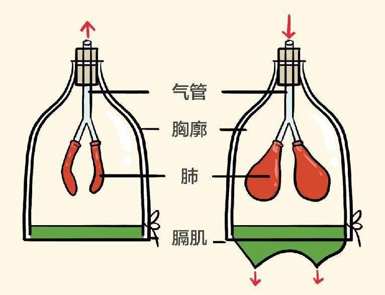 普拉提的五种呼吸技巧