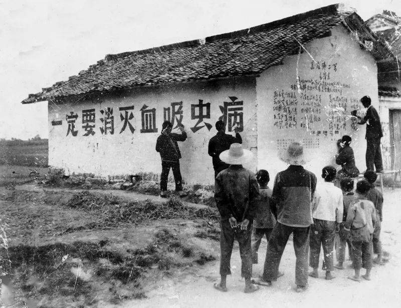 图集这些珍贵的老照片记录了1949年到1978年潜山发展的光辉历程