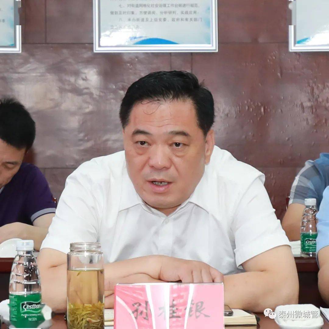 孙桂银督导凤凰街道路长制工作